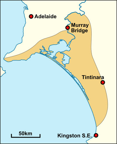 Ngarrindjeri territory 