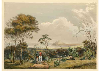 Encounter Bay  George French Angas (State Library of South Australia )